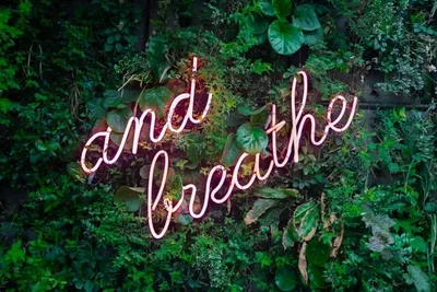 How To Hang a Neon Sign On A Grass Wall How To Hang a Neon Sign On A Grass Wall