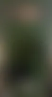 NeonSignsNow.Com