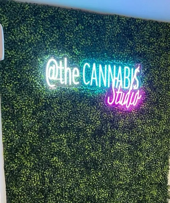 NeonSignsNow.Com - Artwork Neon Sign