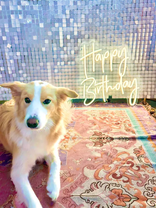 NeonSignsNow.Com - Custom Neon Sign