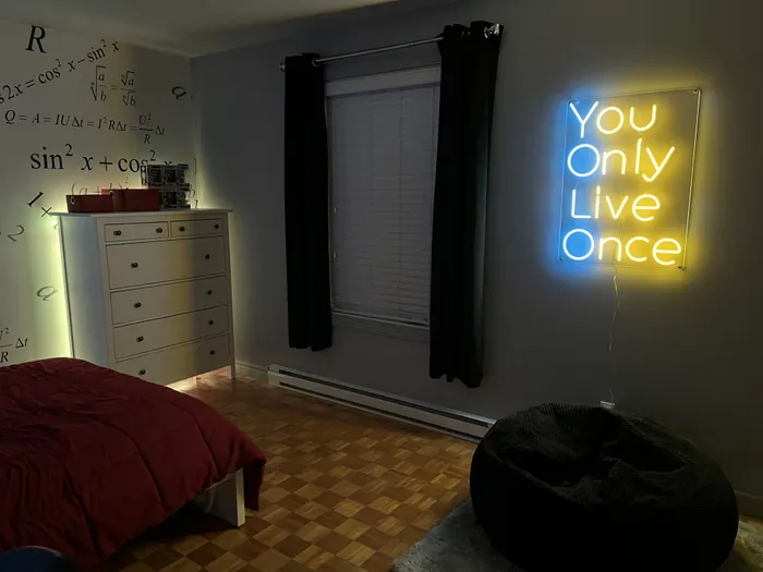 NeonSignsNow.Com - You Only Live Once Neon Sign