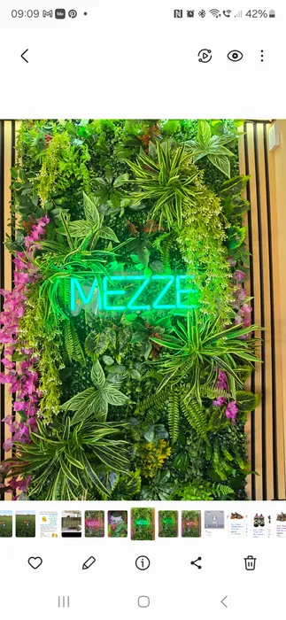 NeonSignsNow.Com - Custom Neon Sign