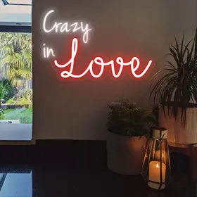 'Crazy In Love' Neon Signs