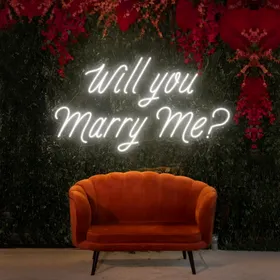 'Will You Marry Me' Neon Signs