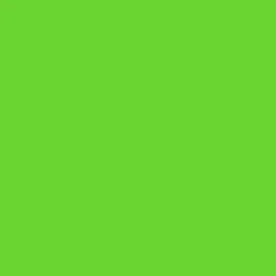Green - Neon Signs Now