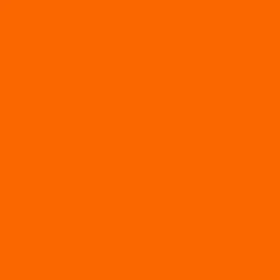 Orange - Neon Signs Now
