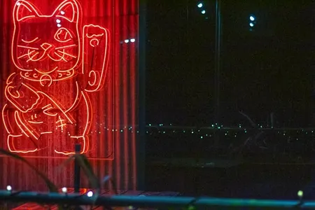 Tokyo Neon Lights: Best Photography Spots, Wall Art Trends, And District Guides