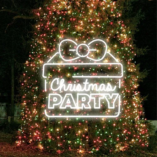 Christmas Party Gift Box Neon Sign - Neon Signs Now
