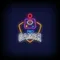 Pro Gamer Joystick Neon Sign - Neon Signs Now